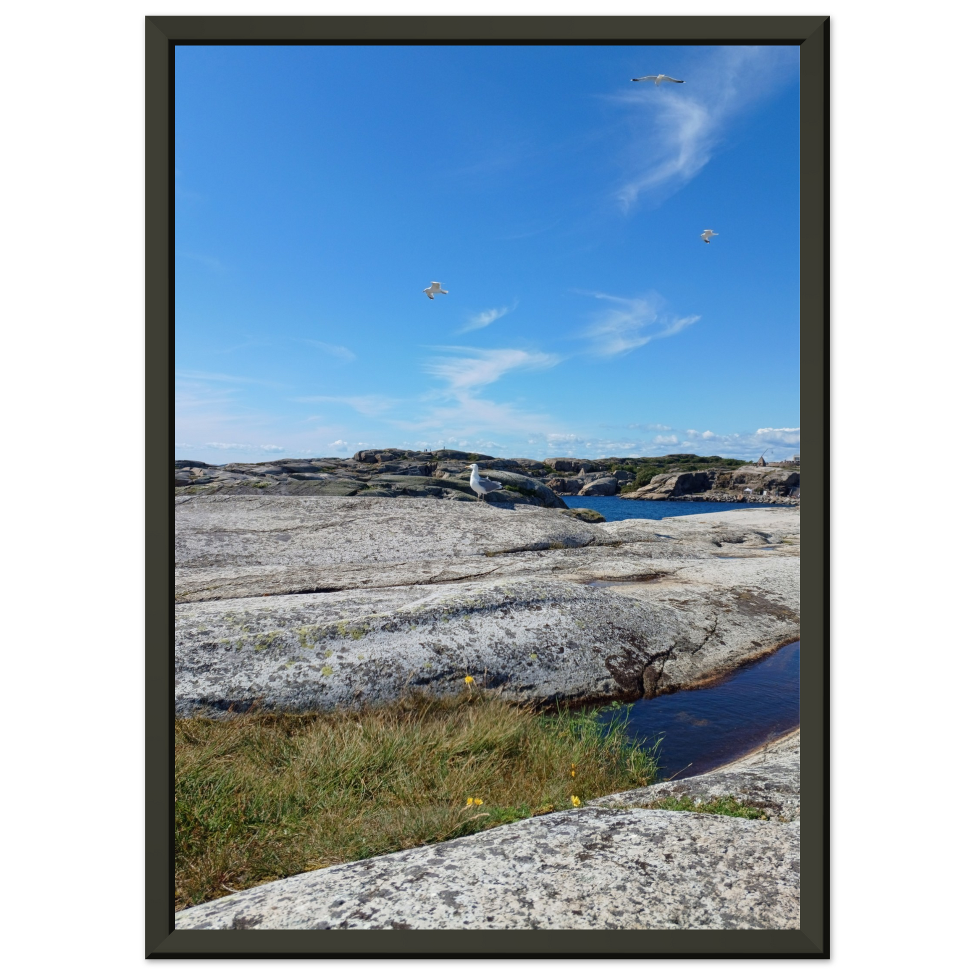 c7a4cf70-bf25-4570-b9a2-93aea94600cc