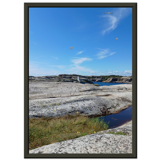 c7a4cf70-bf25-4570-b9a2-93aea94600cc