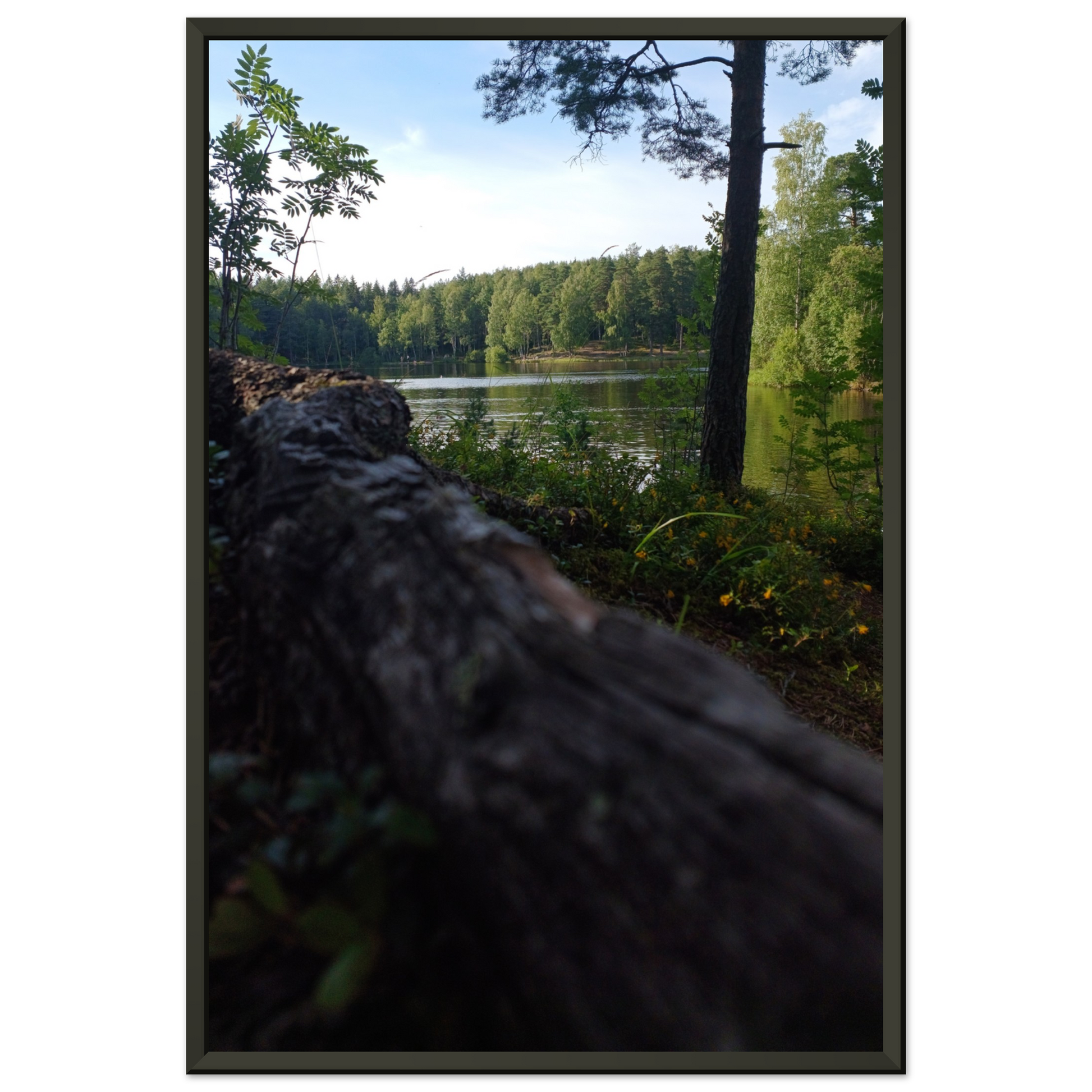 c7f13cfe-72dd-4cad-ab6f-390cda3be602