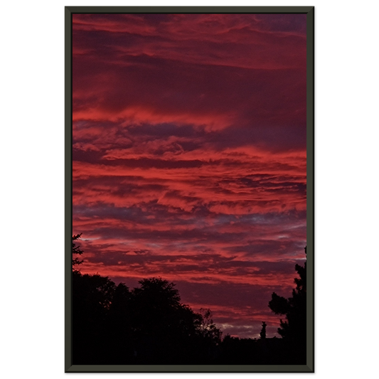 cae8b17c-e7a5-43d4-b182-b1110187bb8d