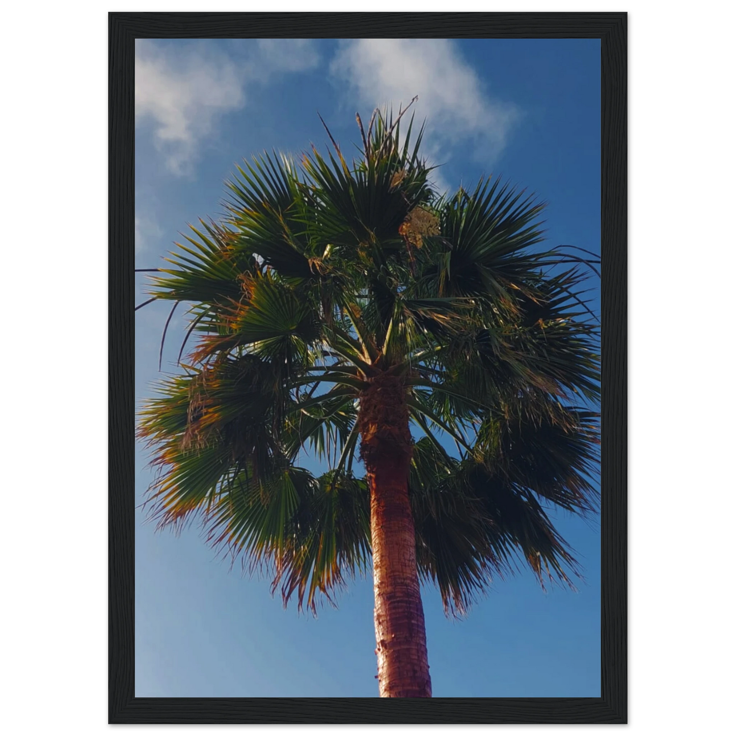 cb33b975-a7c8-43d9-987c-14f46eca4471