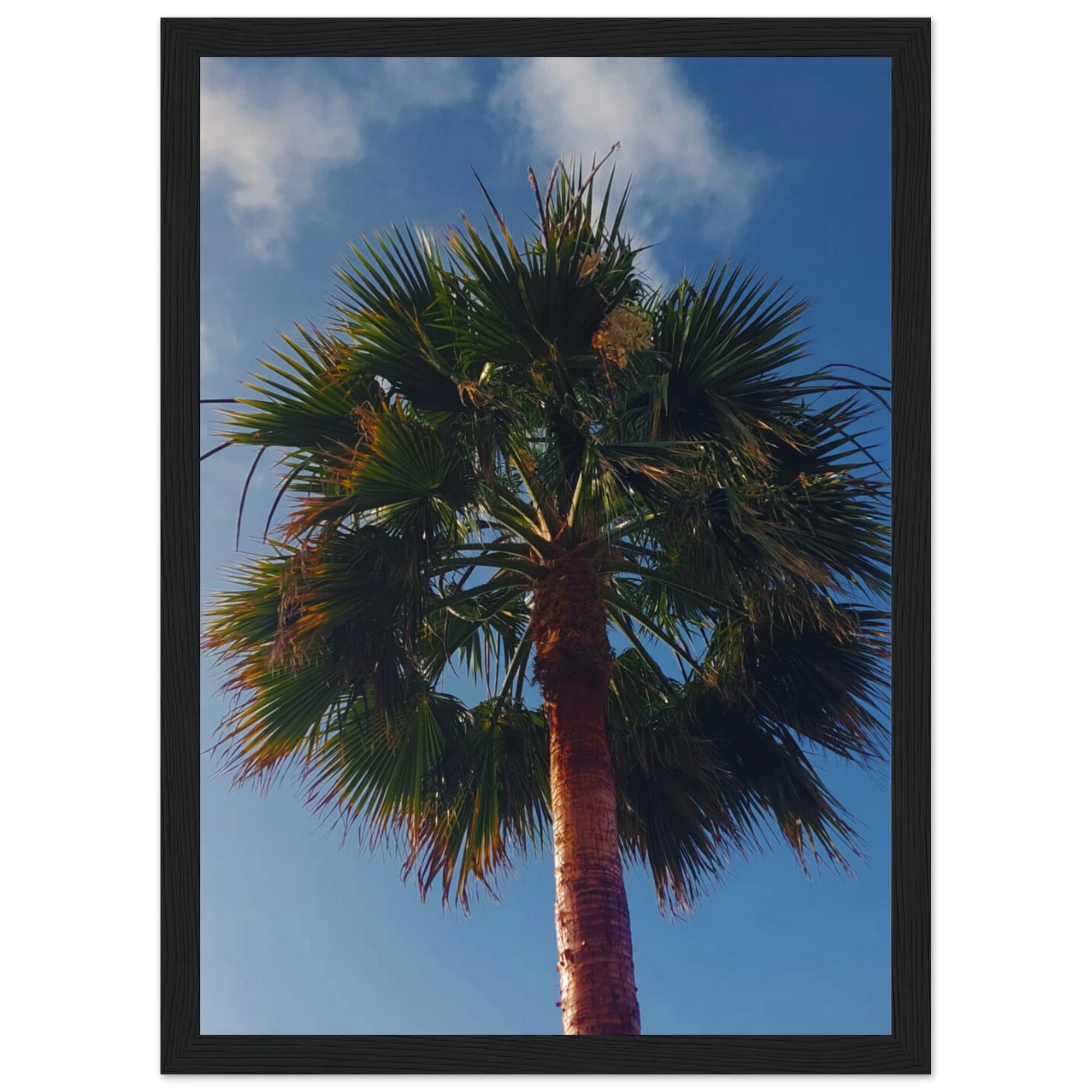 cb33b975-a7c8-43d9-987c-14f46eca4471