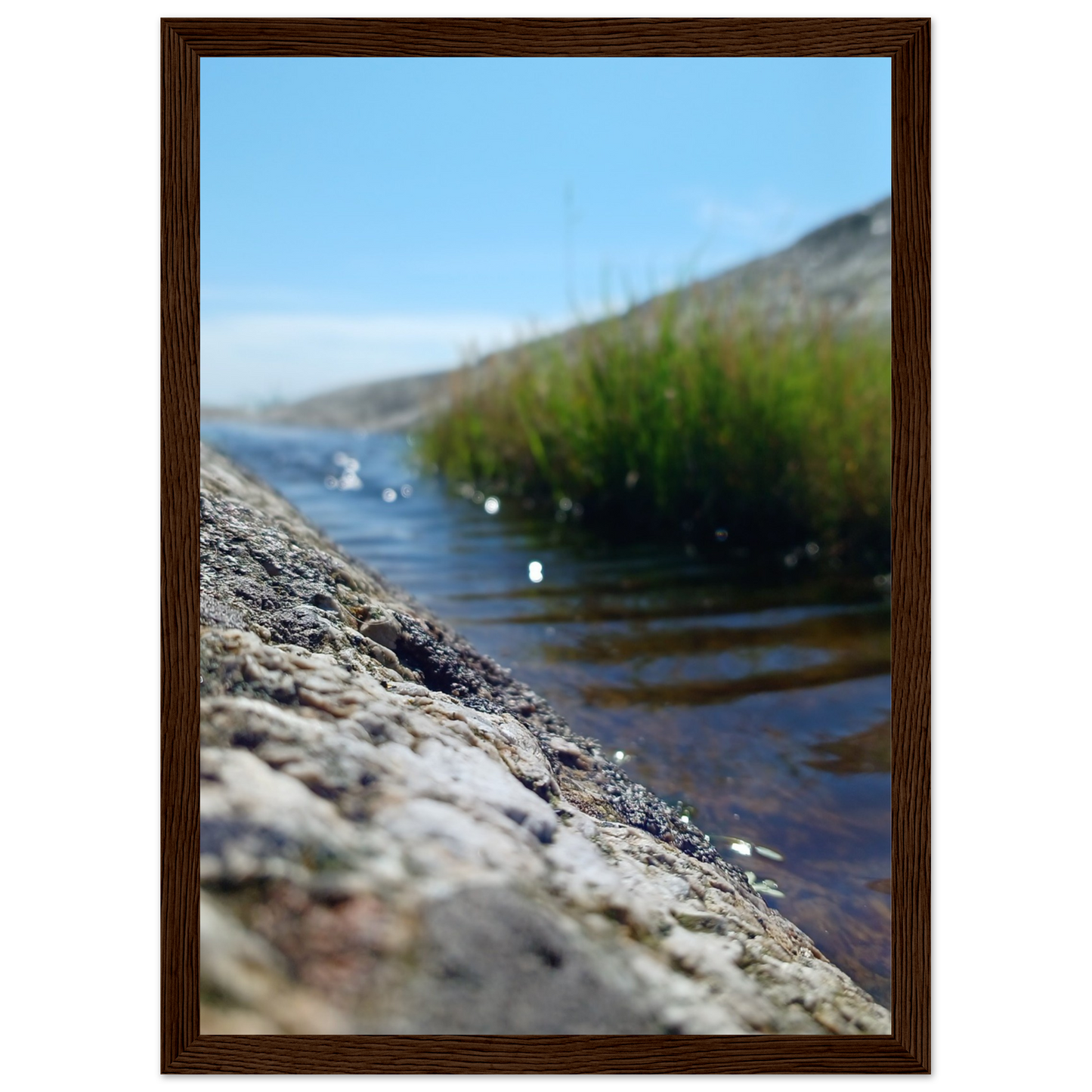 cc25a527-e1be-4558-b921-3b800ecd202c