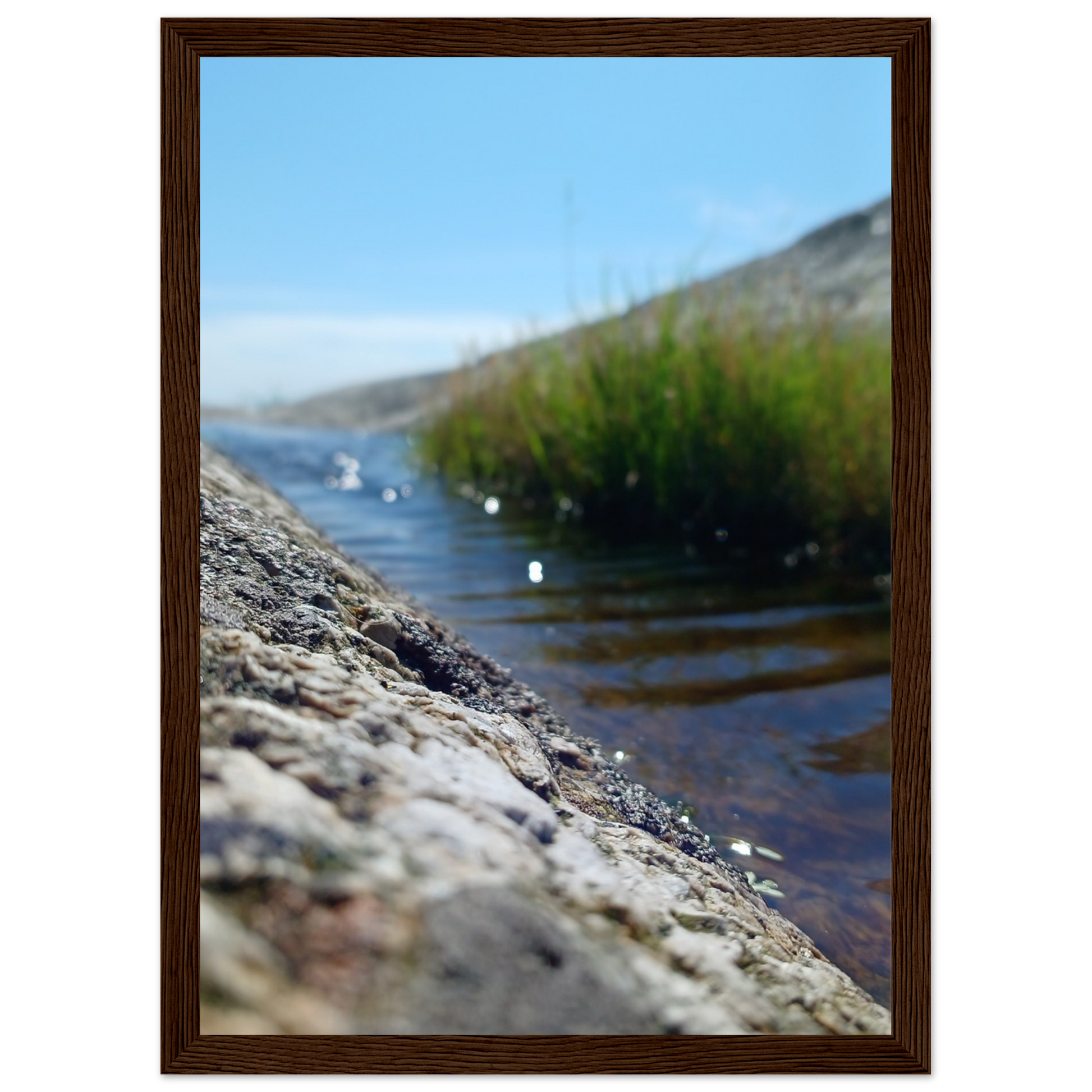 cc25a527-e1be-4558-b921-3b800ecd202c