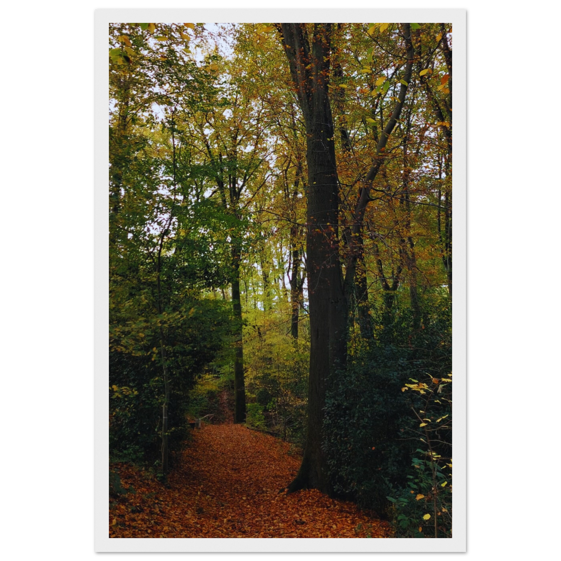 d3a5baed-8421-4829-9271-1e8b48bace59