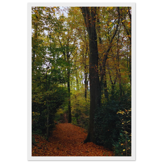 d3a5baed-8421-4829-9271-1e8b48bace59