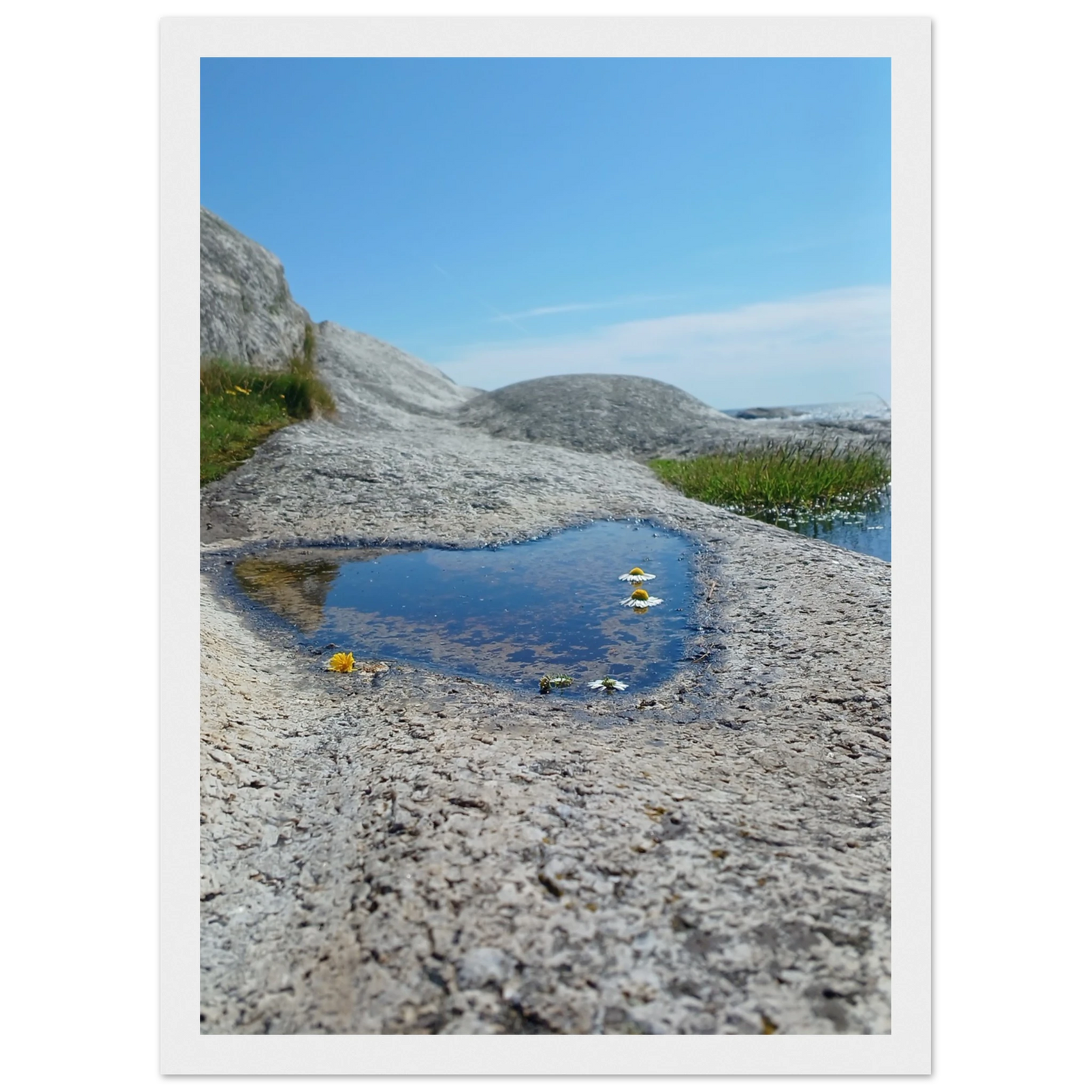 d7256a60-18a6-45e8-902e-9108cef5fc7c