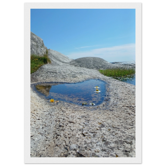 d7256a60-18a6-45e8-902e-9108cef5fc7c