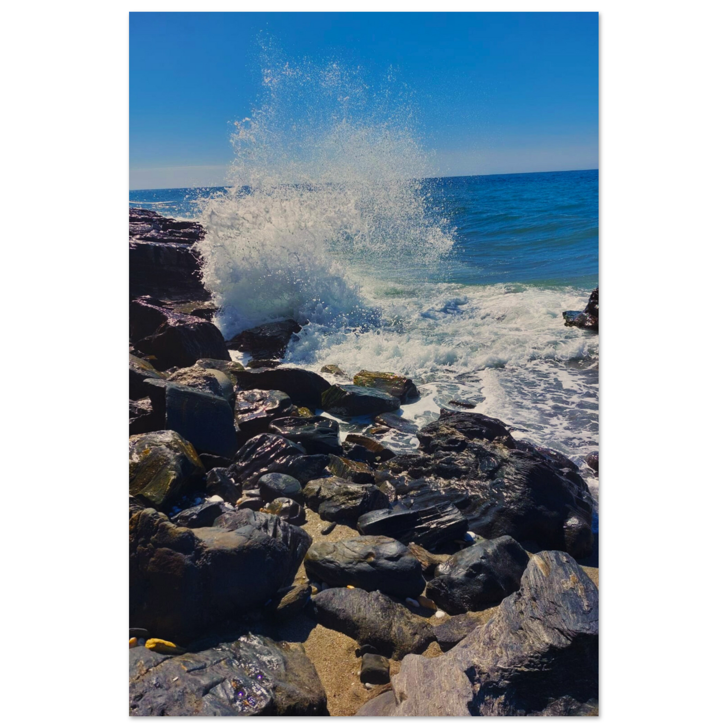 d79e47c9-2cf7-41a3-9764-f592df869dbd