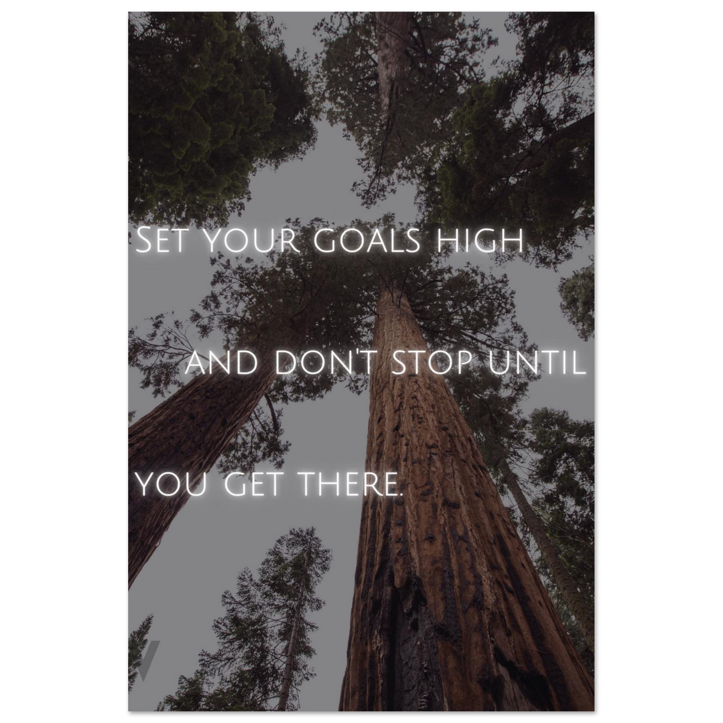 dbd0d33f-0413-4459-abf0-4bd18b88147b