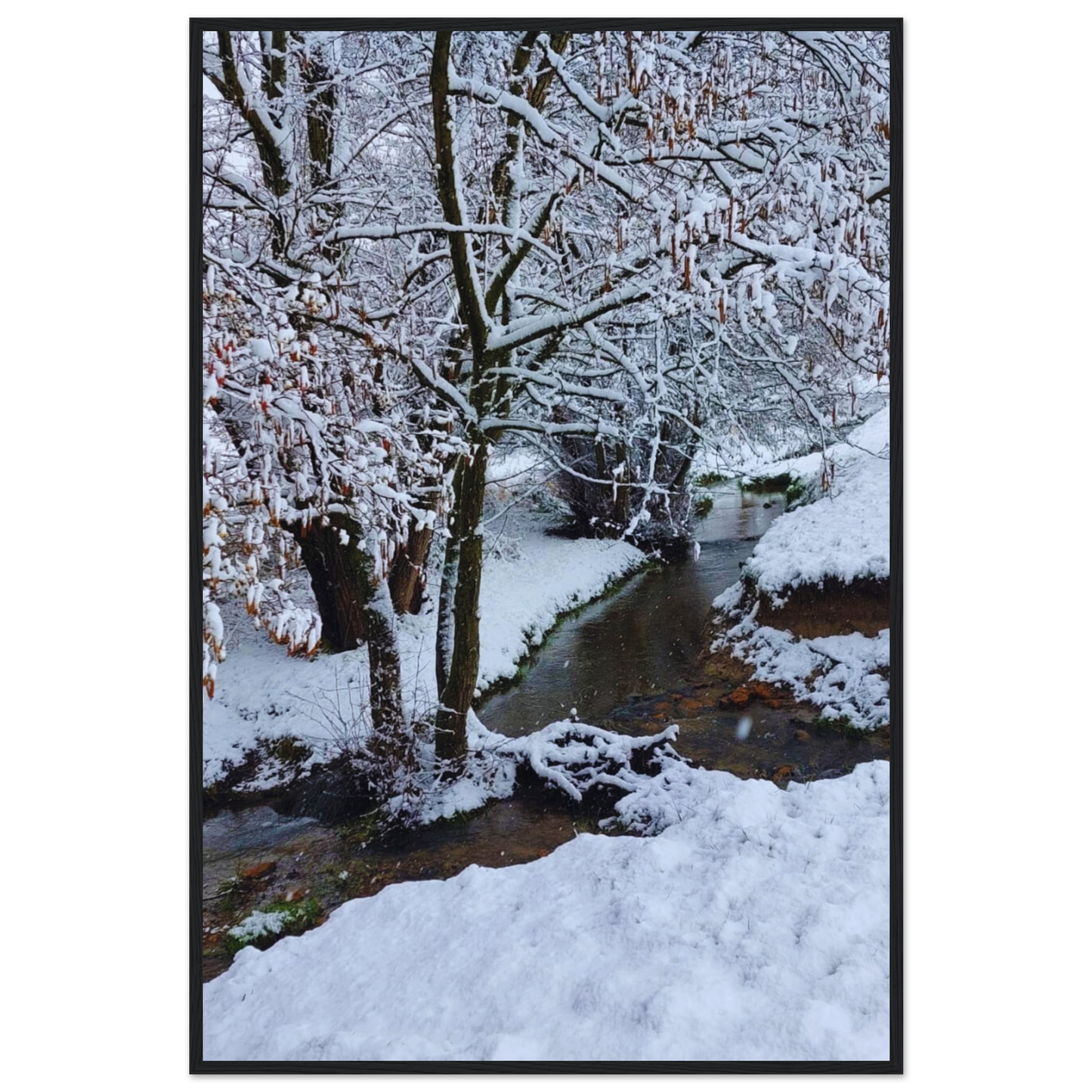 dbe7a696-daed-4801-ba82-9f75549d6063