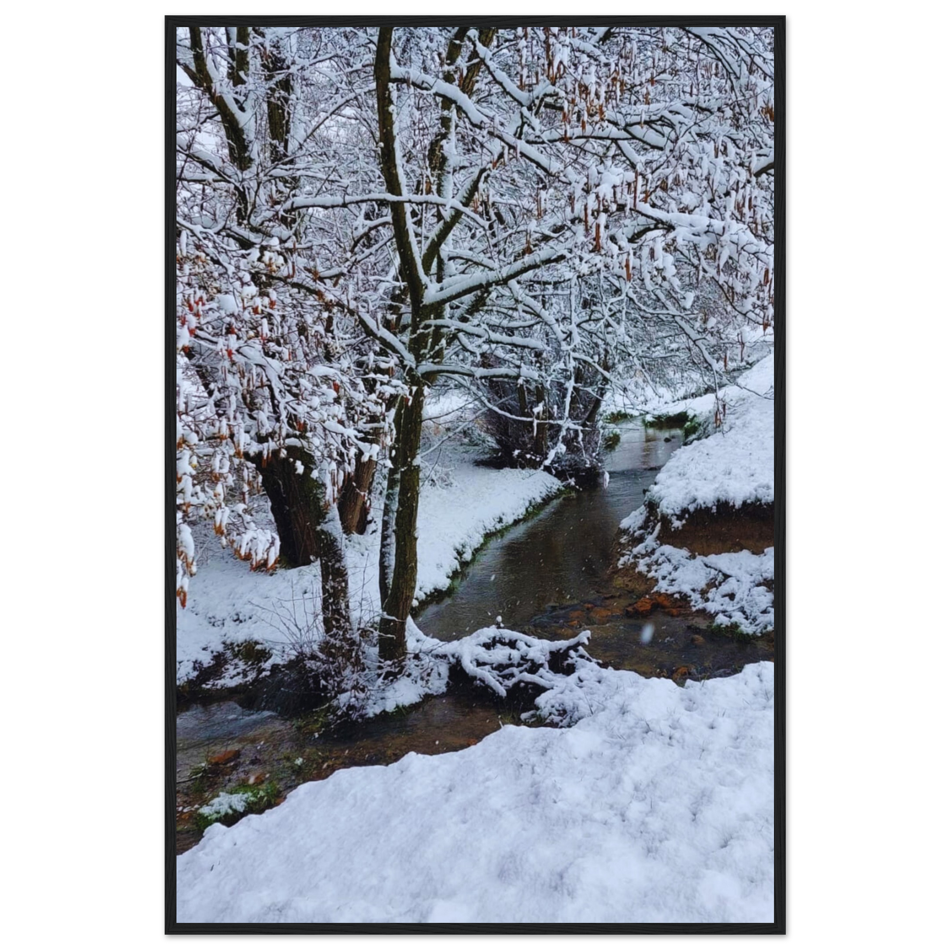 dbe7a696-daed-4801-ba82-9f75549d6063