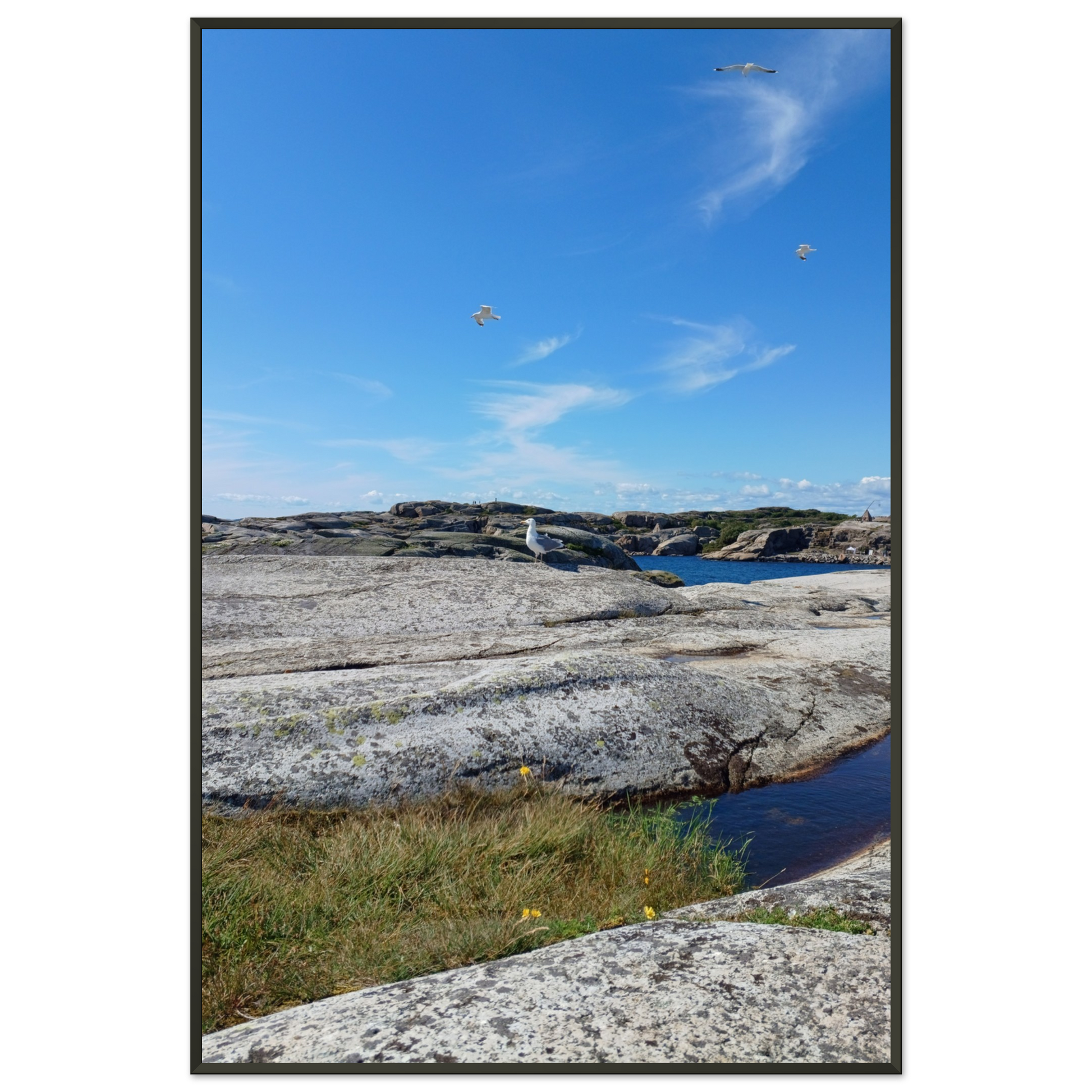 dd386c01-1c44-42ed-aefc-23270cfa6da6