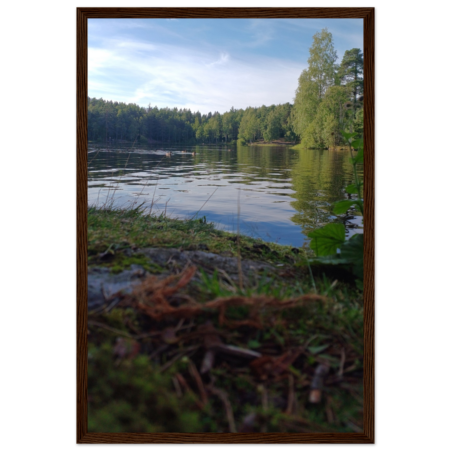 dde70298-bc34-4623-aeef-a680fea853c7