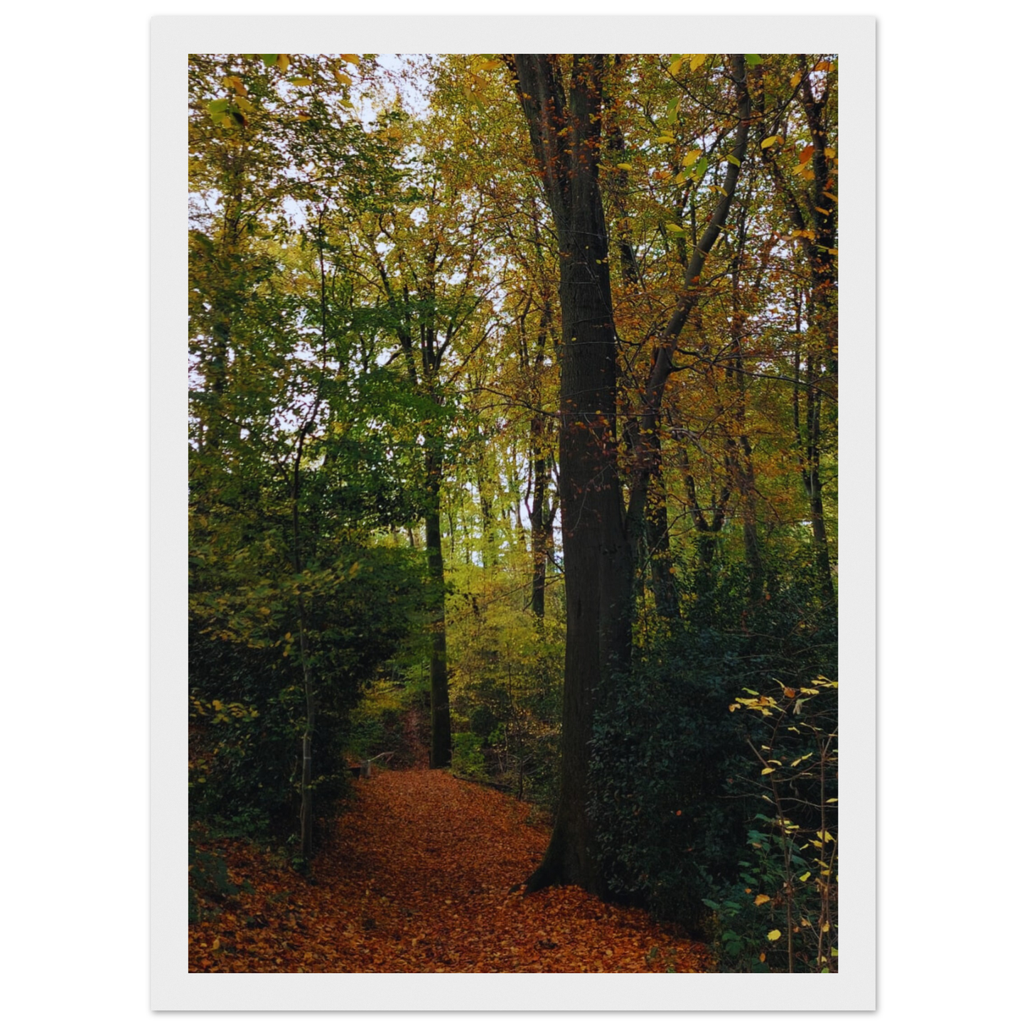 e02831d6-3dd1-4f42-bc56-185e39bf8cea