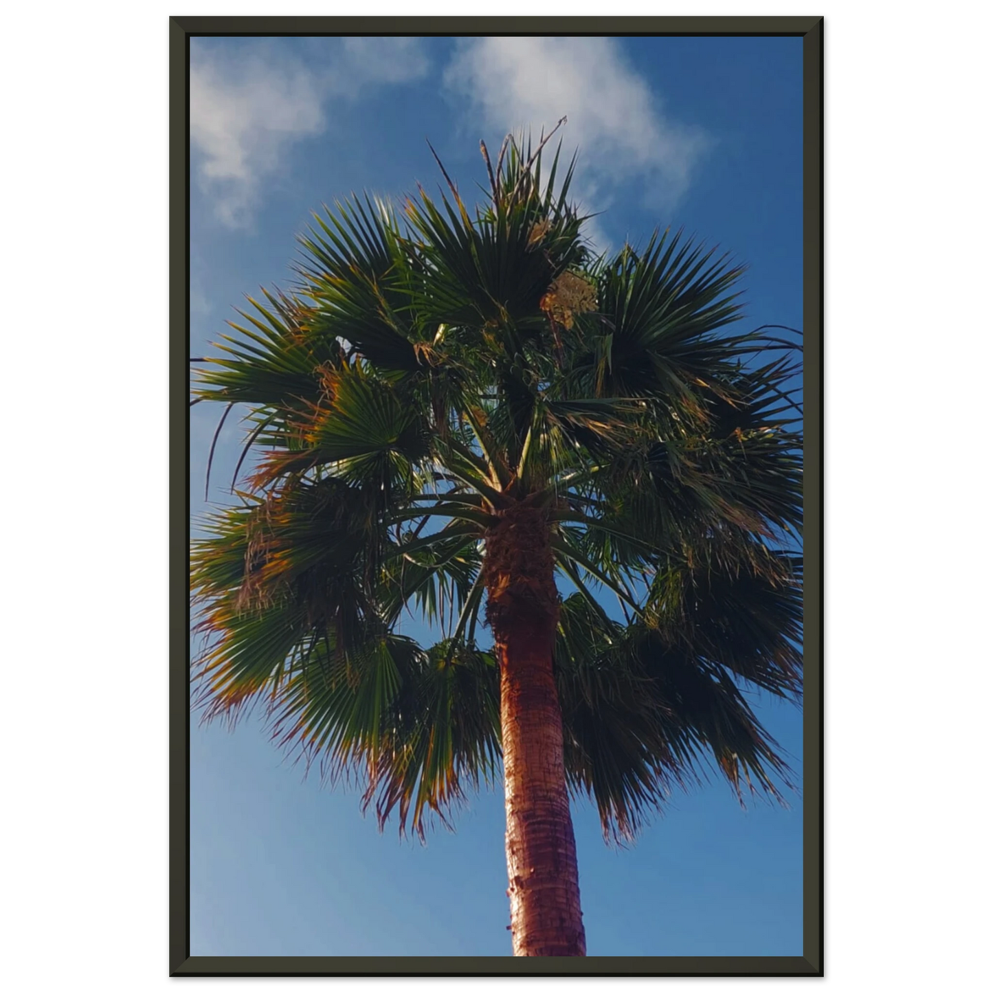 e2040f57-054d-4e58-b938-b2cbe7114bed