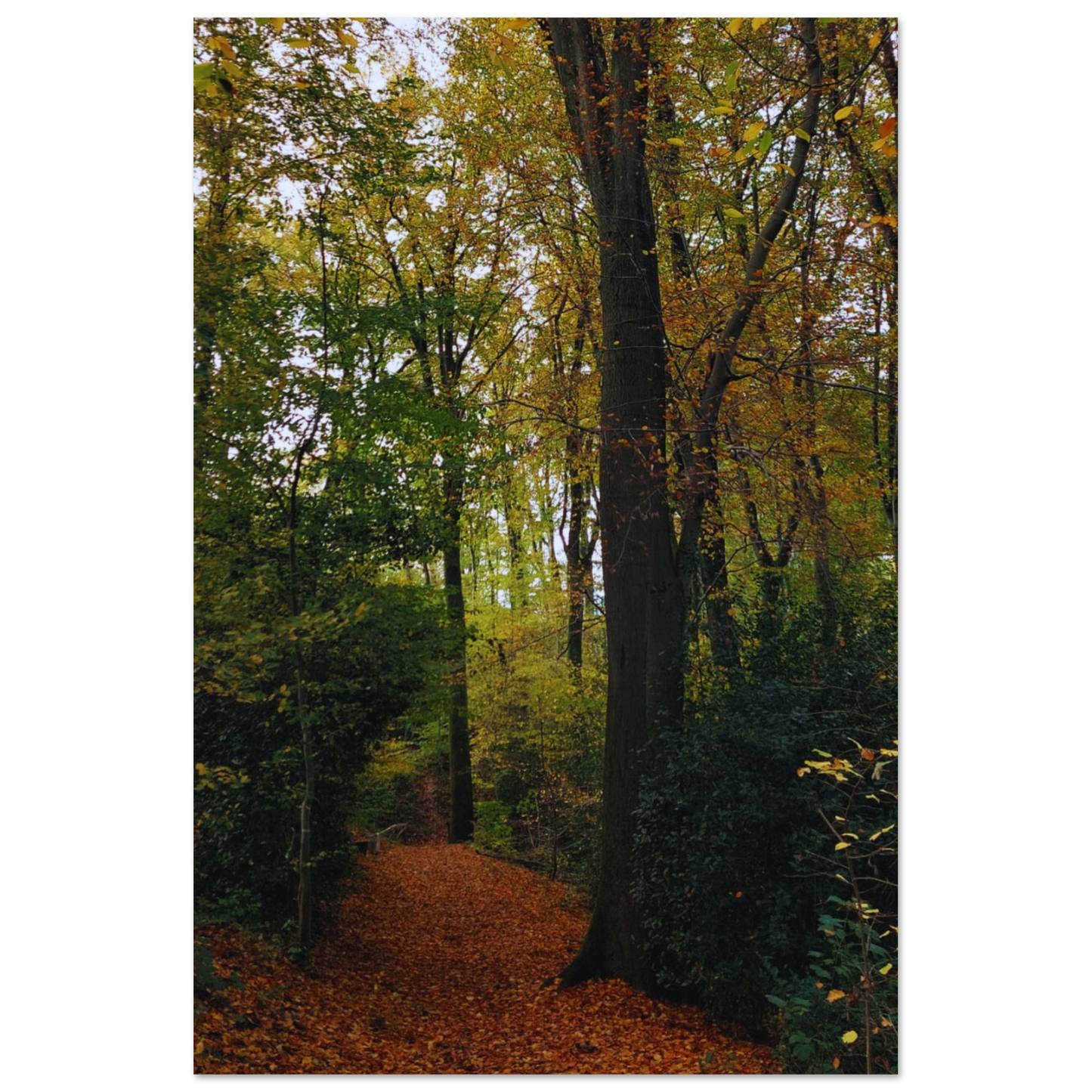 e22909fd-4848-4104-87b0-cb0dae05d44b