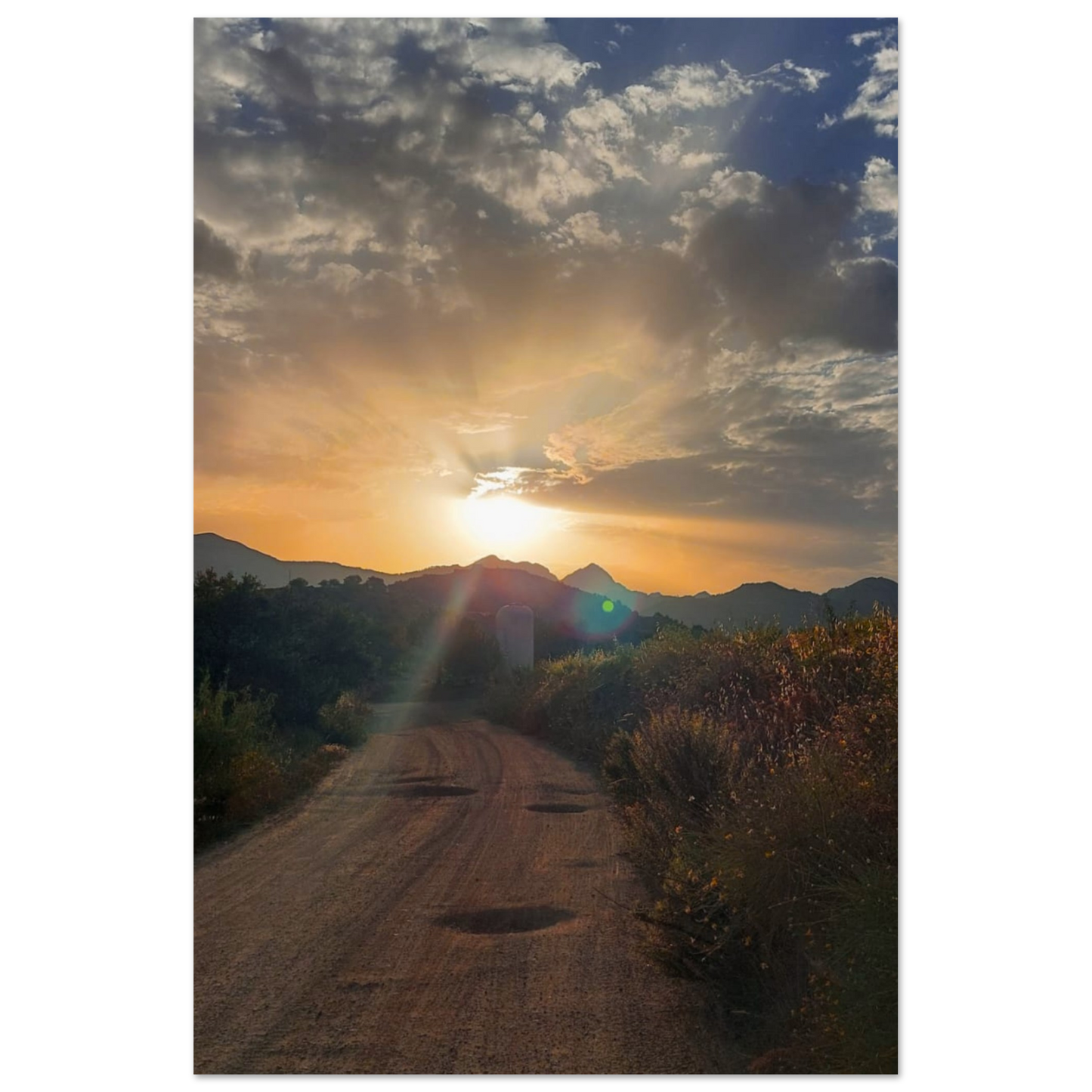 e3d395e8-66ea-481f-afc0-5f5c241cbeef