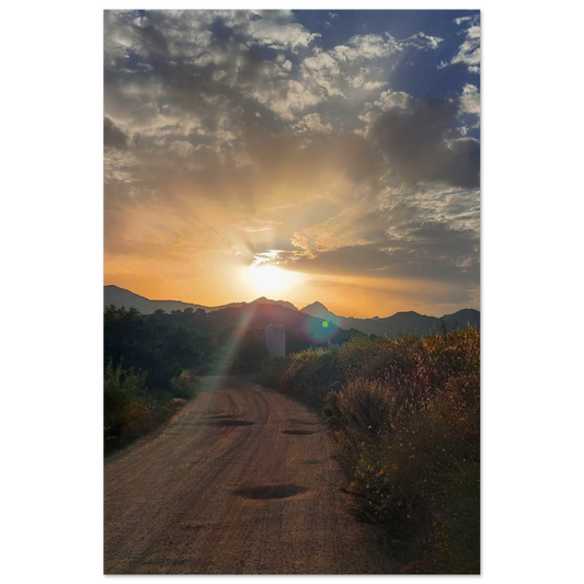 e3d395e8-66ea-481f-afc0-5f5c241cbeef