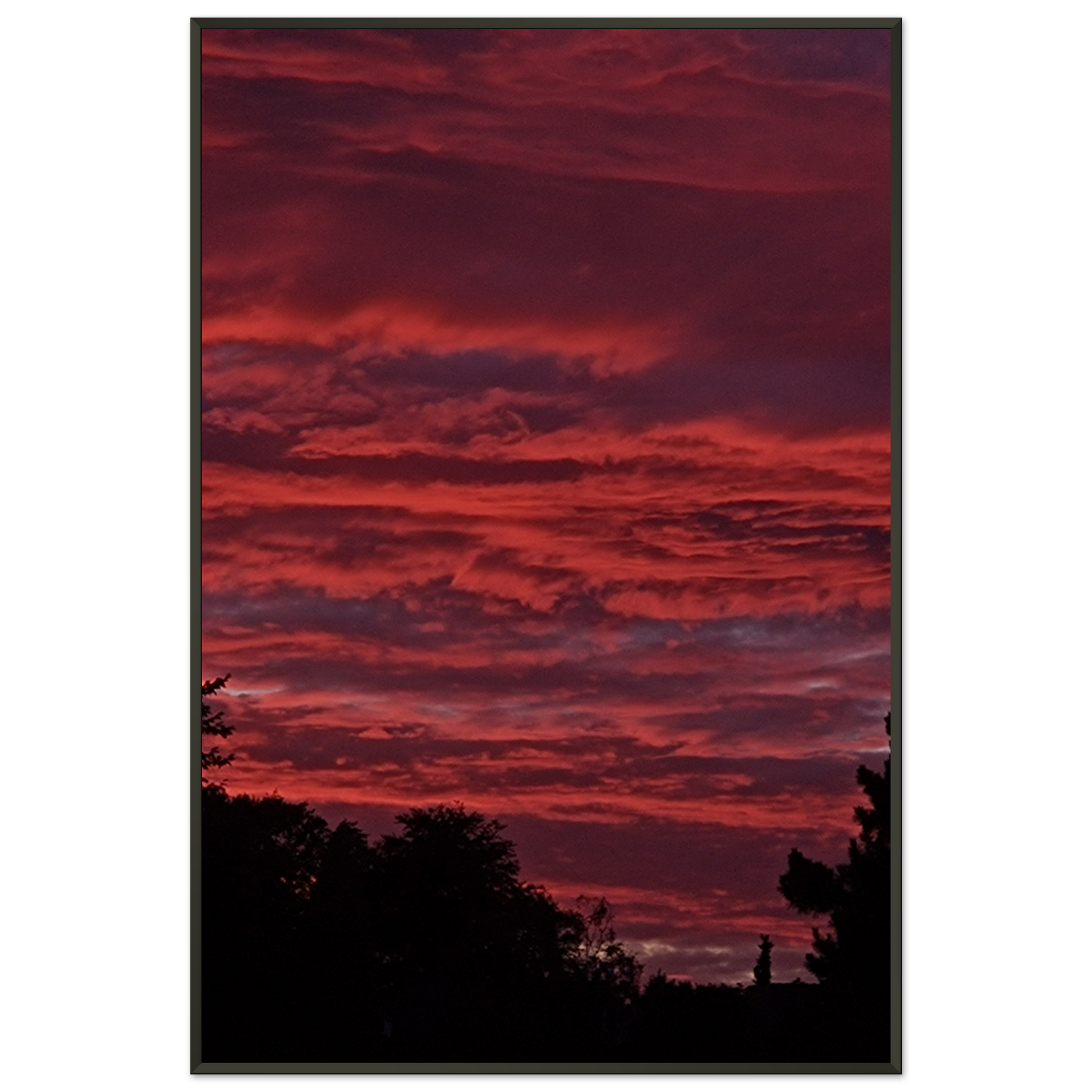 e59196de-15d9-4b77-ba24-fedda51c5dc3