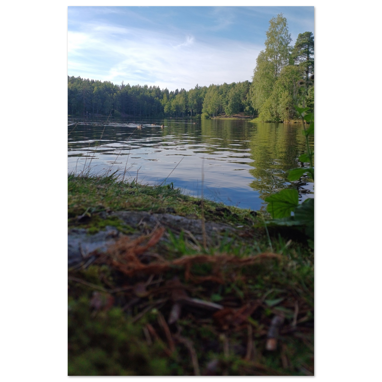 e6bd7d53-0a3a-4f56-8102-13146bfd59be