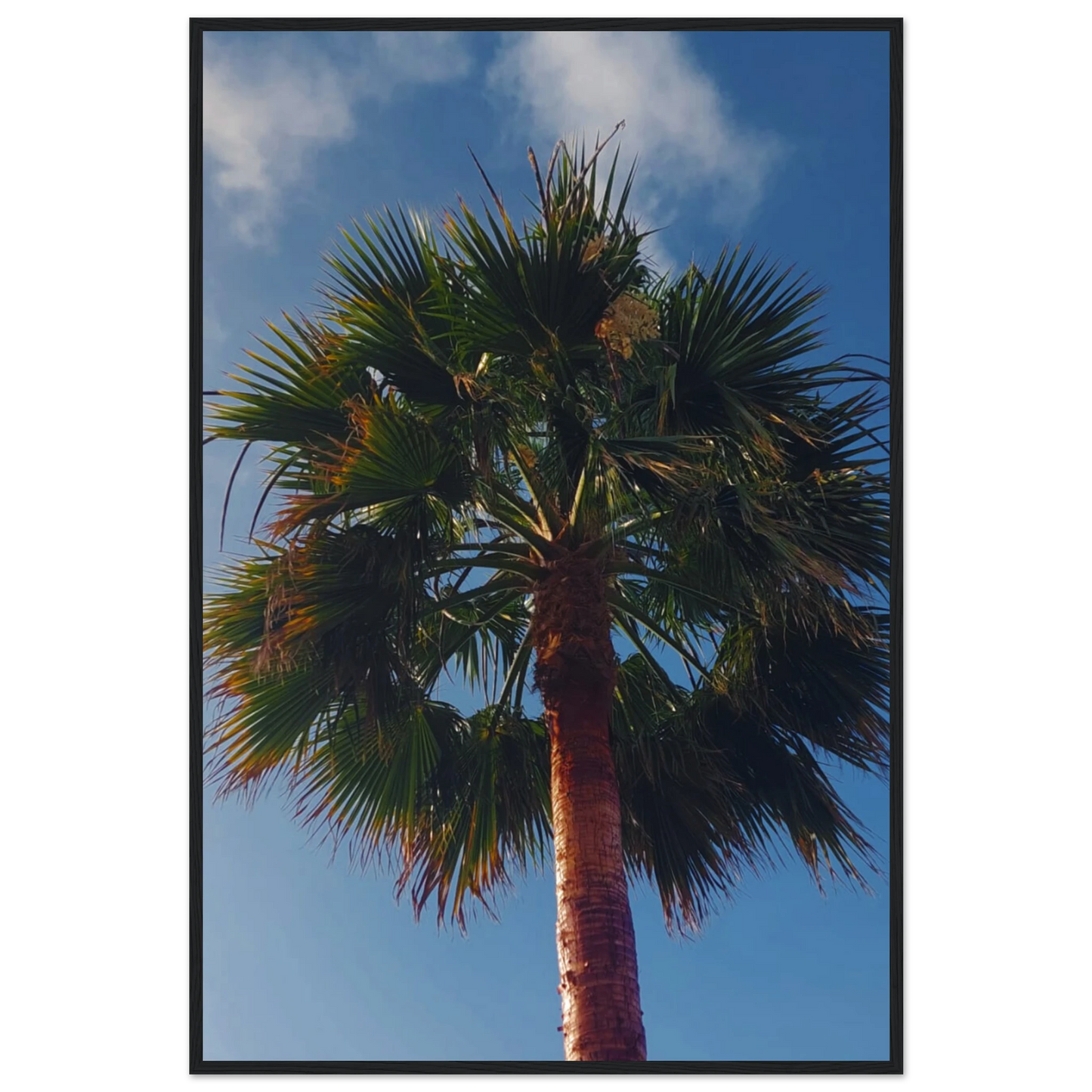 fa5544cf-d2ed-4b51-8b04-452570a0a4c4