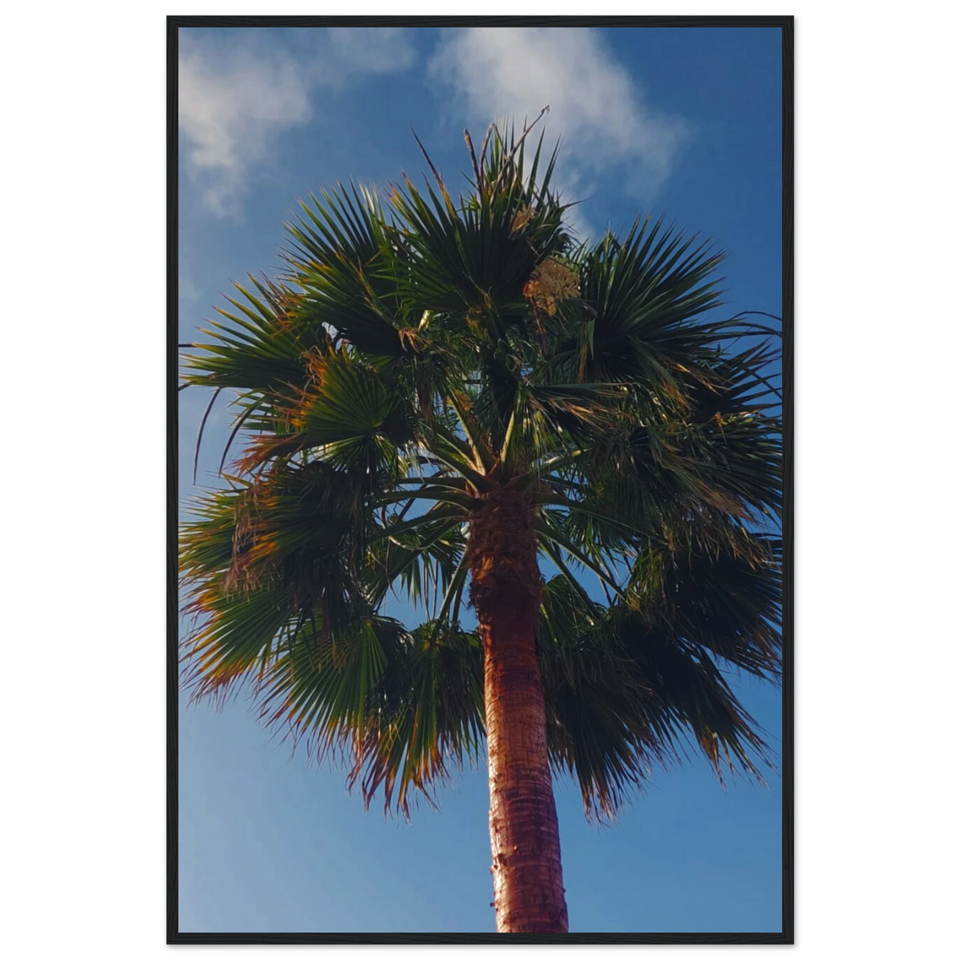 fa5544cf-d2ed-4b51-8b04-452570a0a4c4