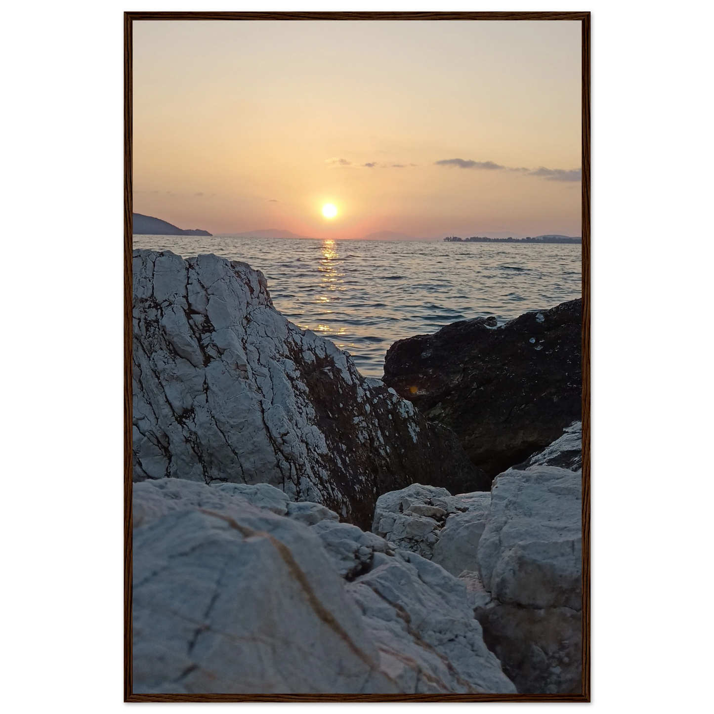 fe4e0857-d8c7-455d-bc09-ec00698152b2