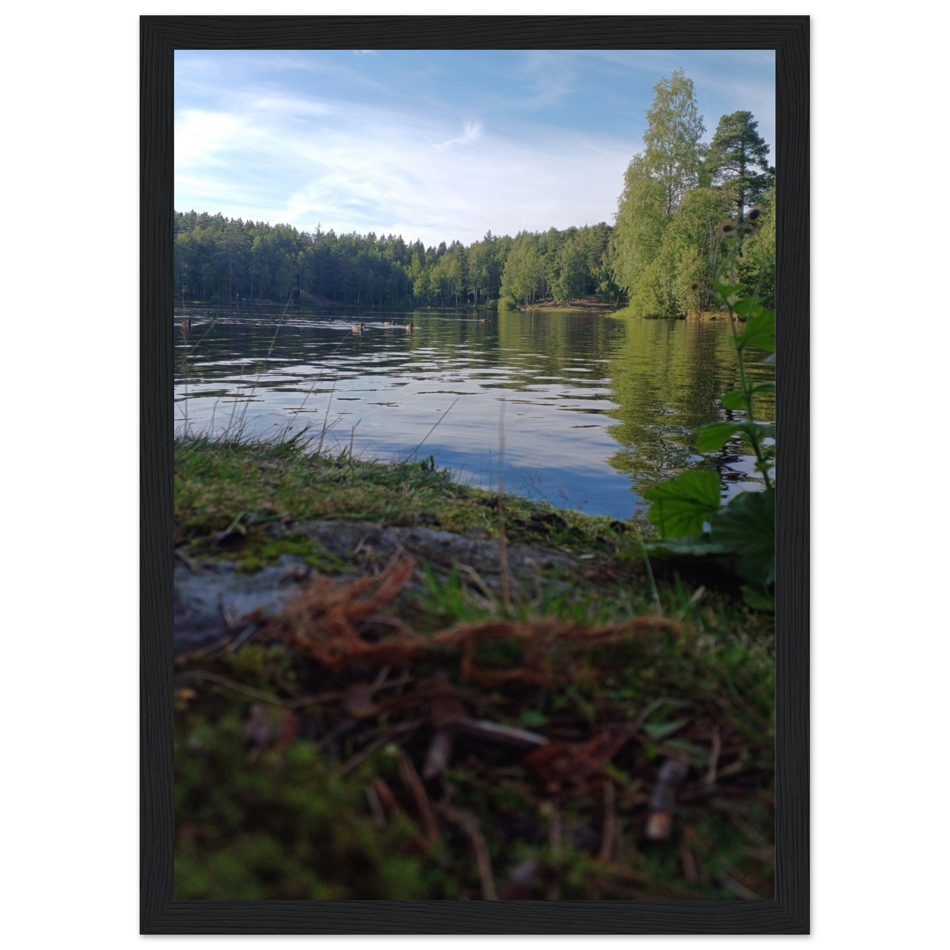 ff59fa22-a19f-42ba-8ca7-fd191d1da91b