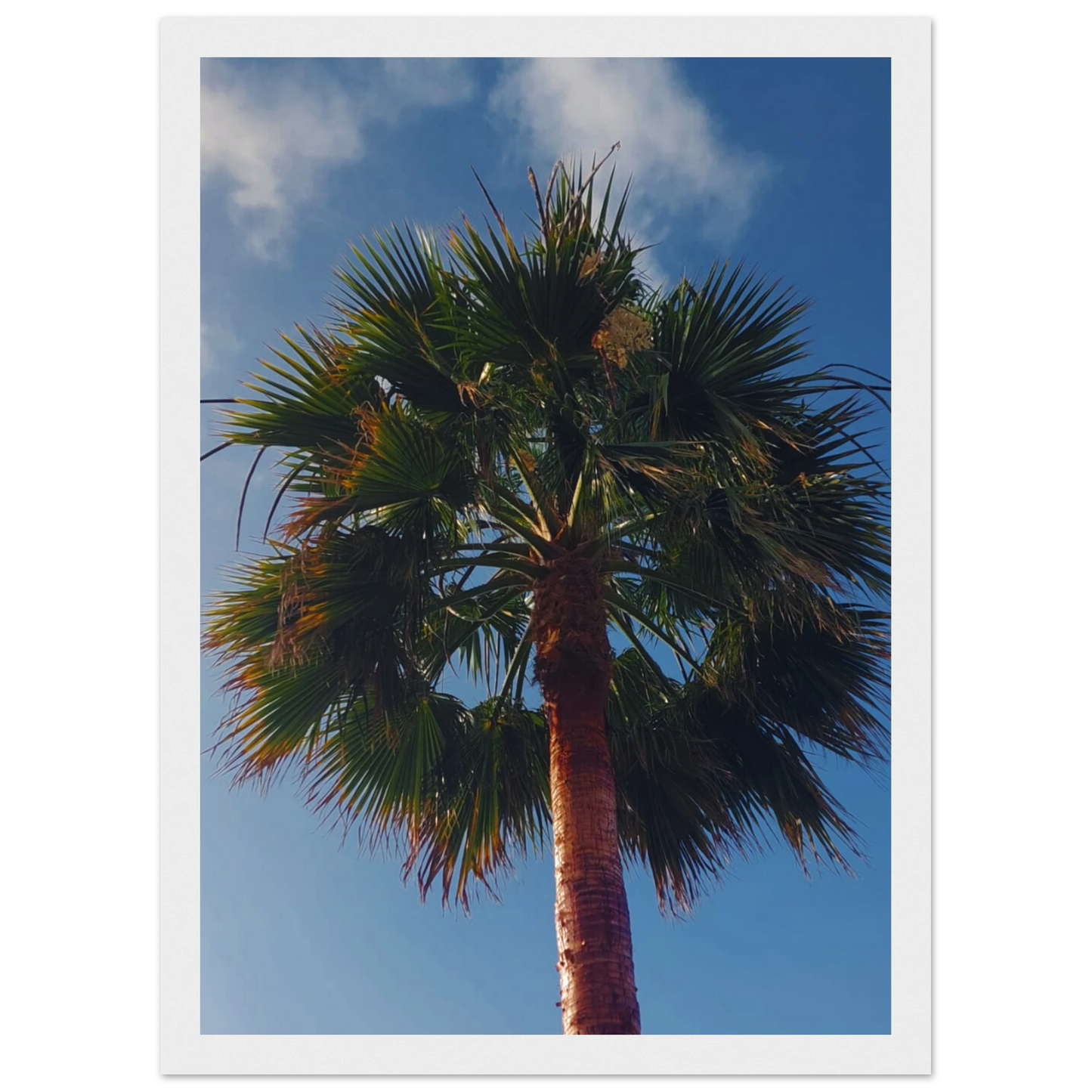 ff66b64d-50a8-4c3f-9182-762d093a6dfe